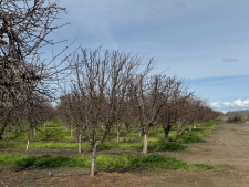 Listing Image #3 - Others for sale at 6722 Bryden Road, Marysville CA 95901