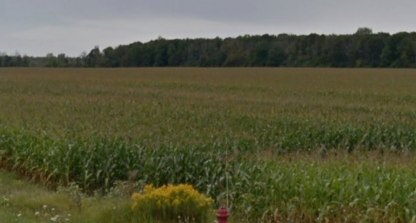 Listing Image #2 - Land for sale at 4635 Hospital Road, Saginaw MI 48603 Listing Image #2 - Land for sale at 4635 Hospital Road, Saginaw MI 48603