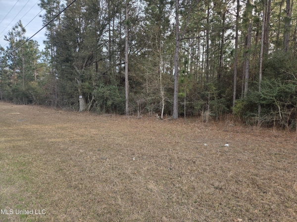 Listing Image #3 - Land for sale at E Lake Cypress Drive, Perkinston MS 39573 Listing Image #3 - Land for sale at E Lake Cypress Drive, Perkinston MS 39573