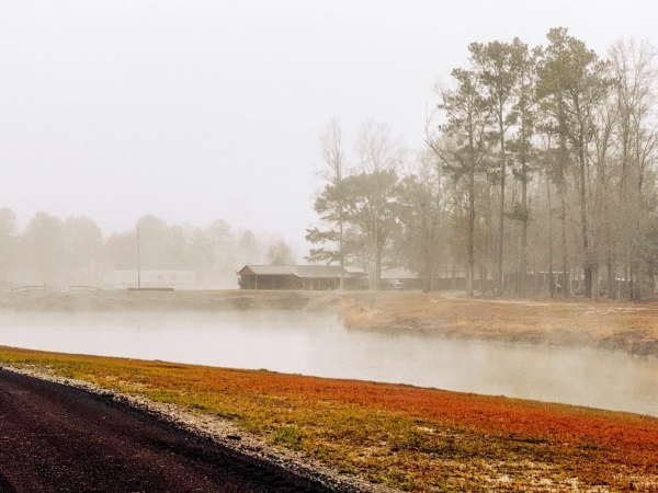 Listing Image #3 - Land for sale at 573 Sandridge Road, Dorchester SC 29437