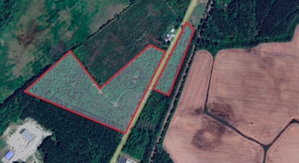 Listing Image #1 - Land for sale at Gardner Blvd, Holly Hill SC 29059