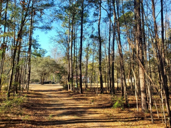 Listing Image #2 - Land for sale at 7085 Inman Road, Meggett SC 29449 Listing Image #2 - Land for sale at 7085 Inman Road, Meggett SC 29449