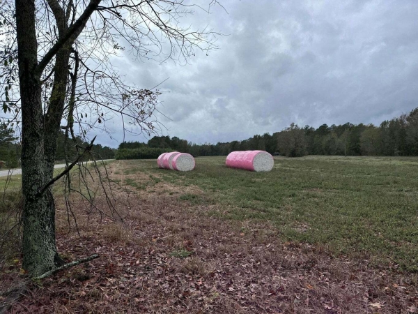 Listing Image #1 - Land for sale at 00 Good Farm Road, Holly HIll SC 29059