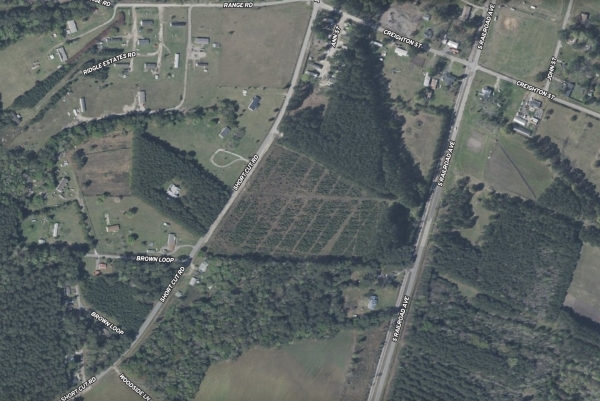 Listing Image #1 - Land for sale at Short Cut Rd, Harleyville SC 29448