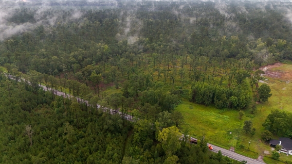 Listing Image #1 - Land for sale at 1035 South Carolina 61, Ridgeville SC 29472