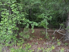 Listing Image #3 - Others for sale at 3291 Broad Street, Sumter SC 29150
