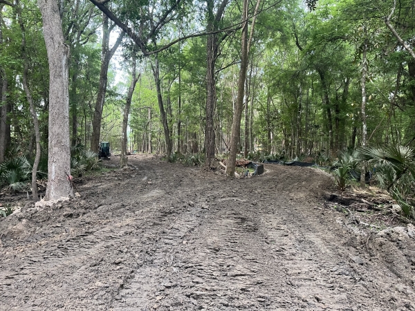 Listing Image #1 - Land for sale at 0 Sol Farm Road, Johns Island SC 29455