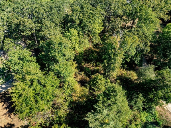 Listing Image #3 - Land for sale at TBD 168 Deer Valley Drive, Powderly TX 75473