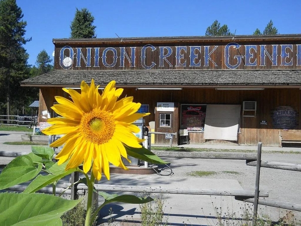 Listing Image #1 - Retail for sale at 2191 Clugston Onion Creek Rd, Colville WA 99114