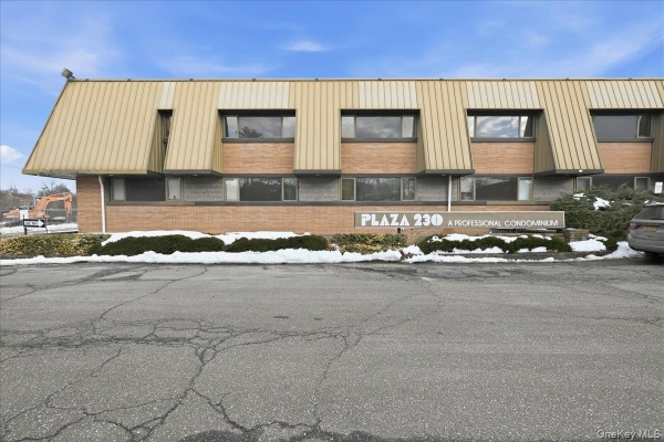 Listing Image #1 - Office for sale at 230 Hilton Avenue , 107,108,109, Hempstead NY 11550