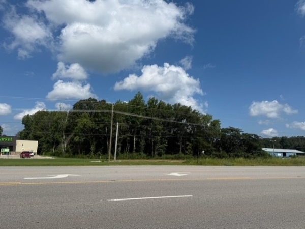 Listing Image #1 - Land for sale at 0 Hwy 43 N, Killen AL 35645 Listing Image #1 - Land for sale at 0 Hwy 43 N, Killen AL 35645