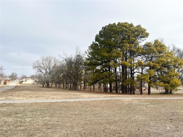 Listing Image #3 - Land for sale at S 13th Street, Chickasha OK 73018