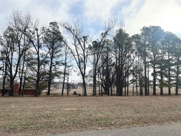 Listing Image #2 - Land for sale at S 13 Street, Chickasha OK 73018