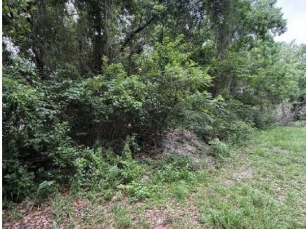 Listing Image #2 - Land for sale at 0 N Wright Avenue, Long Beach MS 39560
