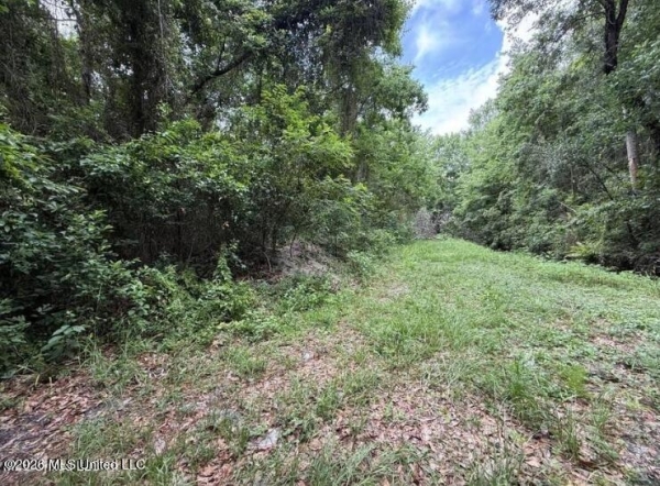 Listing Image #3 - Land for sale at 0 N Wright Avenue, Long Beach MS 39560