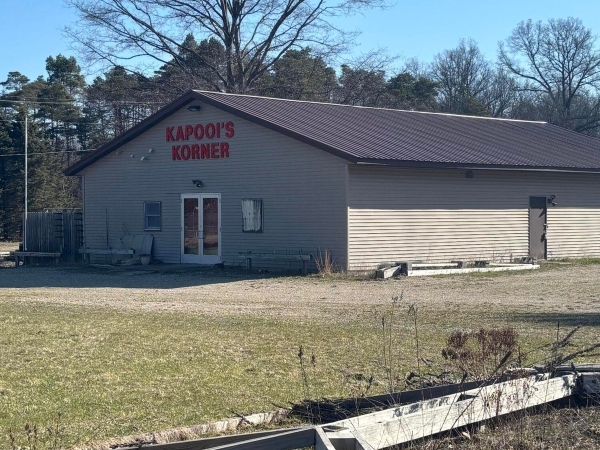 Listing Image #3 - Retail for sale at 12016 N Woodbridge Avenue, Bitely MI 49309