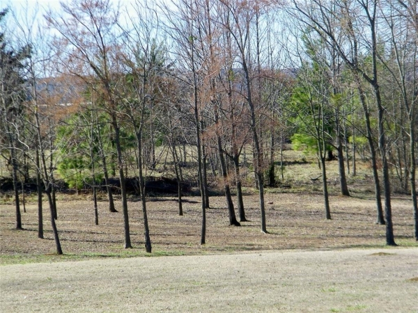 Listing Image #1 - Land for sale at E Washington Street Lot 4, Idabel OK 74745