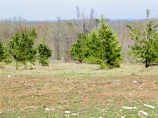 Land property for sale in Idabel, OK
