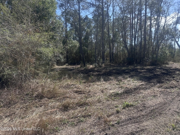 Listing Image #3 - Land for sale at Orange Grove Road, Moss Point MS 39562