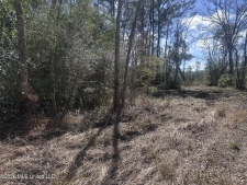 Listing Image #2 - Land for sale at Orange Grove Road, Moss Point MS 39562