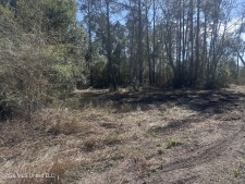 Listing Image #3 - Land for sale at Orange Grove Road, Moss Point MS 39562