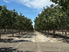 Listing Image #2 - Others for sale at Lansing Avenue, Stratford CA 93266