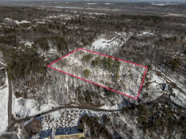 Listing Image #2 - Land for sale at L56 Route 144, New Baltimore NY 12087