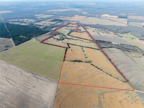 Listing Image #2 - Others for sale at 4279 FM 909, Clarksville TX 75426