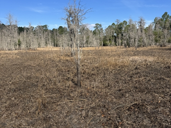 Listing Image #1 - Land for sale at 5700 Lake Erie Rd, Groveland FL 34736
