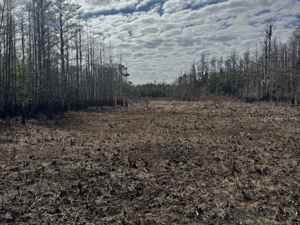 Listing Image #2 - Land for sale at 5700 Lake Erie Rd, Groveland FL 34736