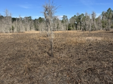 Land for sale in Groveland, FL