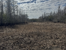 Listing Image #2 - Land for sale at 5700 Lake Erie Rd, Groveland FL 34736