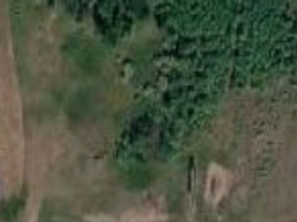 Listing Image #1 - Land for sale at Hemlock M-55, East Tawas MI 48763