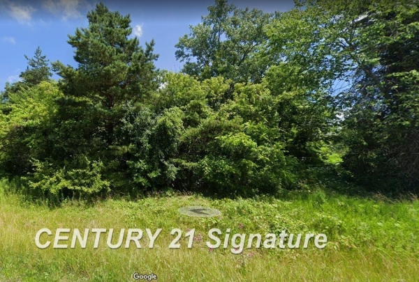 Listing Image #2 - Land for sale at 4000 Fashion Square blvd Vacant Land, Saginaw MI 48603