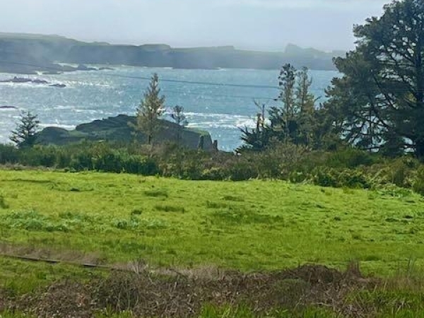 Listing Image #3 - Land for sale at 44821 Baywood Drive, Mdcn CA 95460