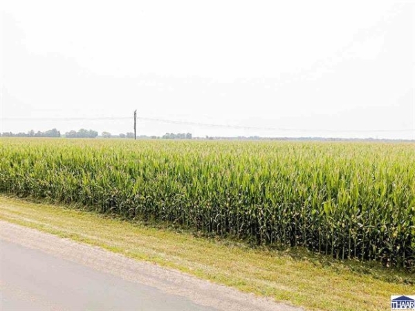 Listing Image #2 - Land for sale at Hulman ST, Terre Haute IN 47803