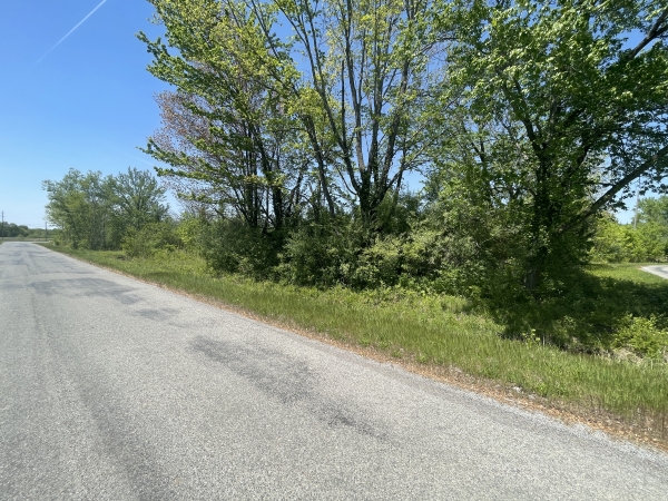 Listing Image #2 - Others for sale at tbd San Diego Street, Carbondale IL 62901