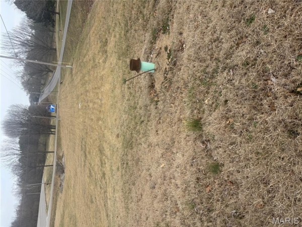 Listing Image #1 - Land for sale at 1250 Indian Parkway, Jackson MO 63755