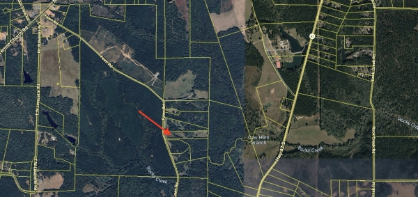 Listing Image #2 - Land for sale at 343 Fawn Rd, Jackson GA 30233