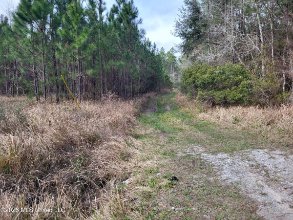 Listing Image #2 - Land for sale at 0 Jones Road, Pass Christian MS 39571