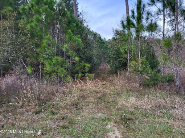 Listing Image #3 - Land for sale at 0 Jones Road, Pass Christian MS 39571