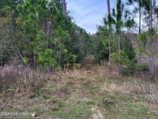 Listing Image #3 - Land for sale at 0 Jones Road, Pass Christian MS 39571