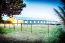 Listing Image #3 - Others for sale at 11217 Foutch Rd., Pilot Point TX 76258