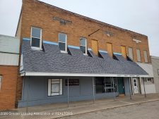 Listing Image #3 - Others for sale at 116 N Newton Street, Middleton MI 48856