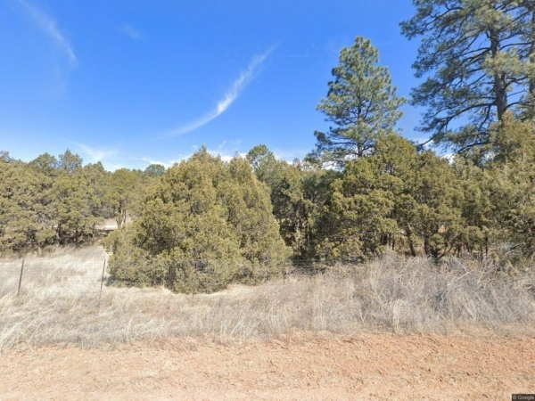 Listing Image #1 - Others for sale at 31 Sparrow Lane, Tijeras NM 87059