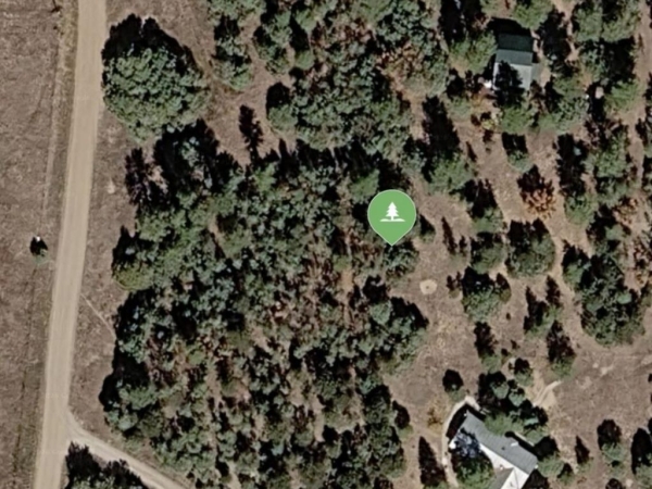 Listing Image #3 - Others for sale at 31 Sparrow Lane, Tijeras NM 87059
