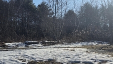 Listing Image #3 - Land for sale at 1122 state route 52, Loch Sheldrake NY 12759