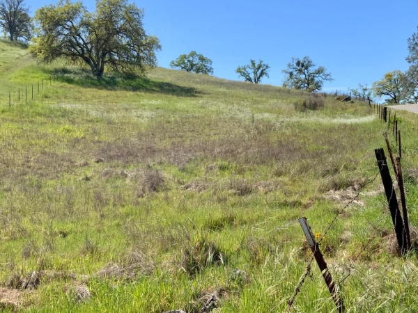 Listing Image #2 - Others for sale at 2 1.64 Ac Rd. 400, Madera CA 93636