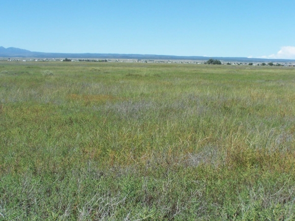 Listing Image #2 - Others for sale at C. DEL SOL A081/MULBERRY A146, McIntosh NM 87032