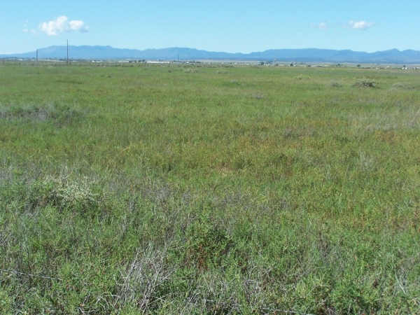 Listing Image #3 - Others for sale at C. DEL SOL A081/MULBERRY A146, McIntosh NM 87032